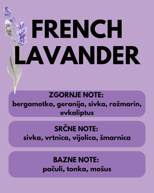 LAVANDA FRANCESE 